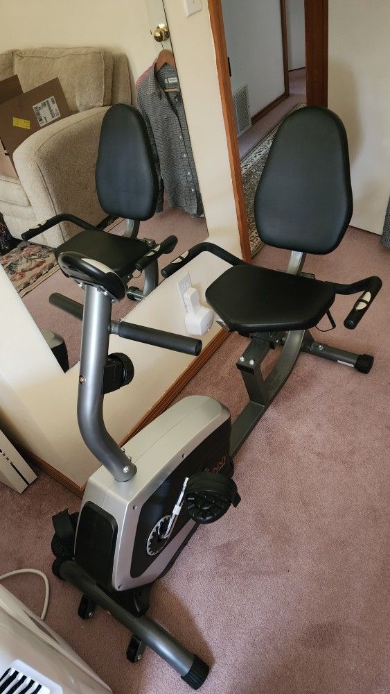 Sunny Exercise Bike