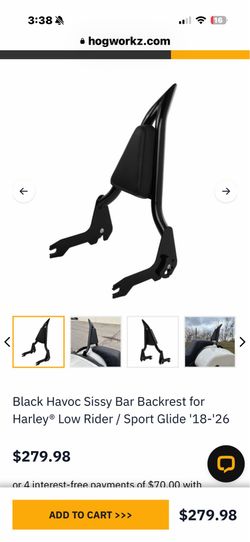 Hogworks Sissy bar
