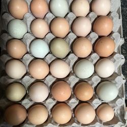 Fresh Eggs 
