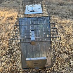 Live Animal Trap