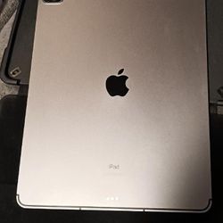 Apple I Pad Pro-5th generation (12.9 inch) (pre-owned) 