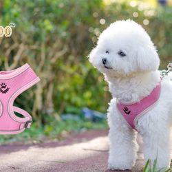 Small Dog Harness and Leash Set M Pink