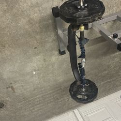 50 Pounds And Super Curl Bar