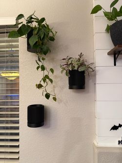 3d printed flower pots