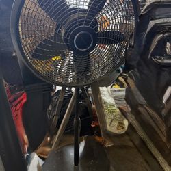 Fan 