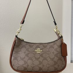 Brown Coach Bag