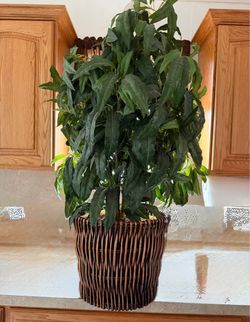Artificial plant