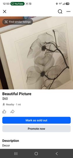 Beautiful Picture