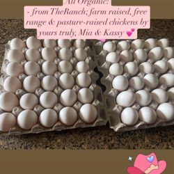 Pasture-raised eggs ! 