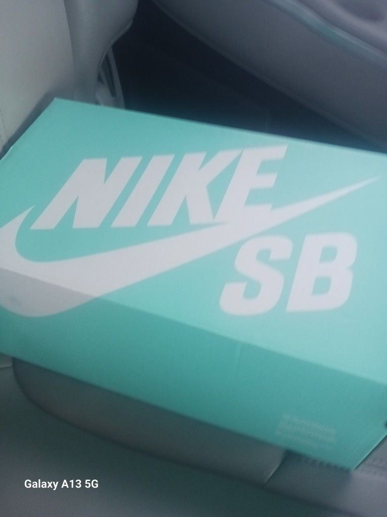 Nikes SB