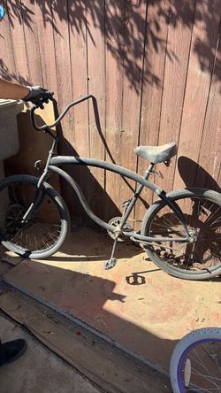 Beach Cruser