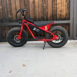 Big boy kids e-bike (accepting offers from 200-500)