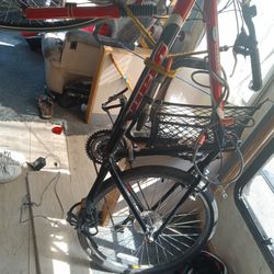 Giant Bike 