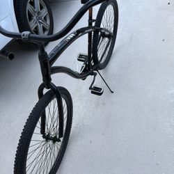 29” Cruiser Bicycle 