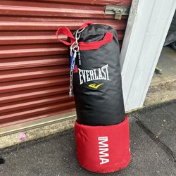 Boxing / Kick Boxing Bag EVERLAST MMA