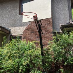 Basketball Hoop - FREE