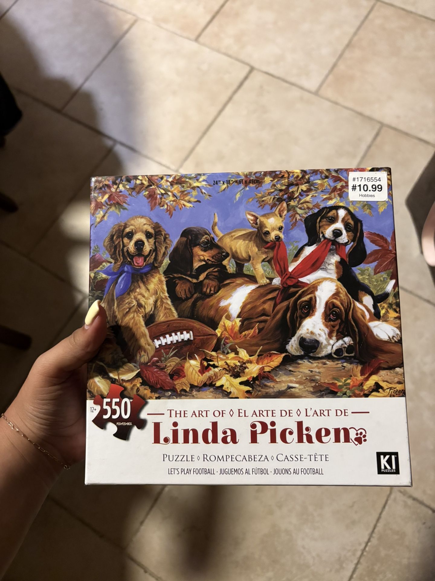 Brand New Puppy Football Puzzle