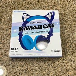 Wireless Headphones 