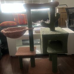 Cat Tree Pickup Palm Desert Cash Only Price Firm