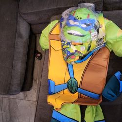 Ninja Turtle Costume