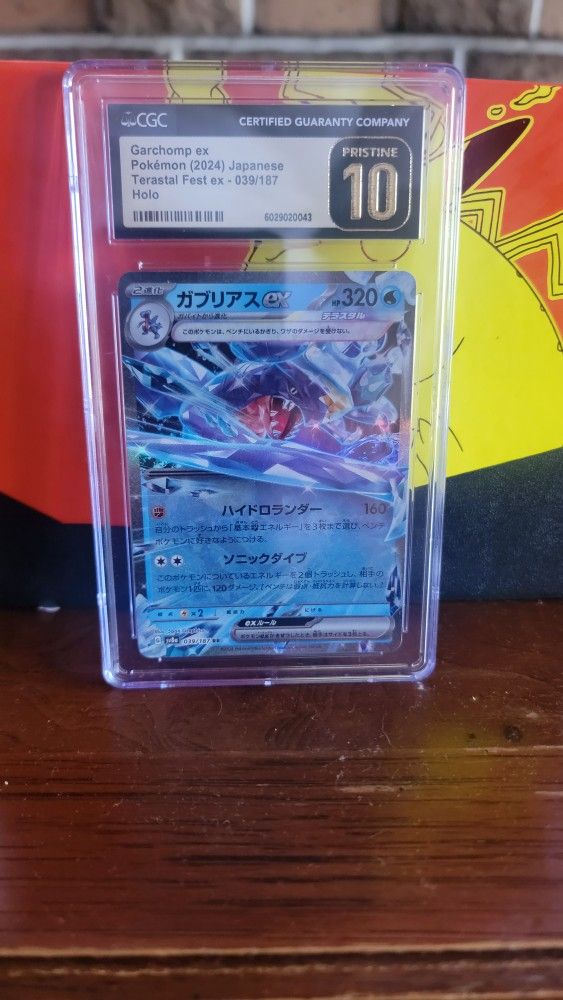Pokemon Slab 10