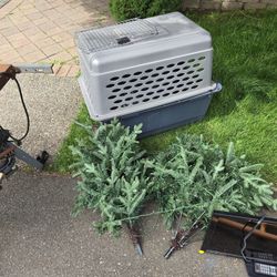FREE DOG KENNEL