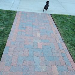 Paver And Sod