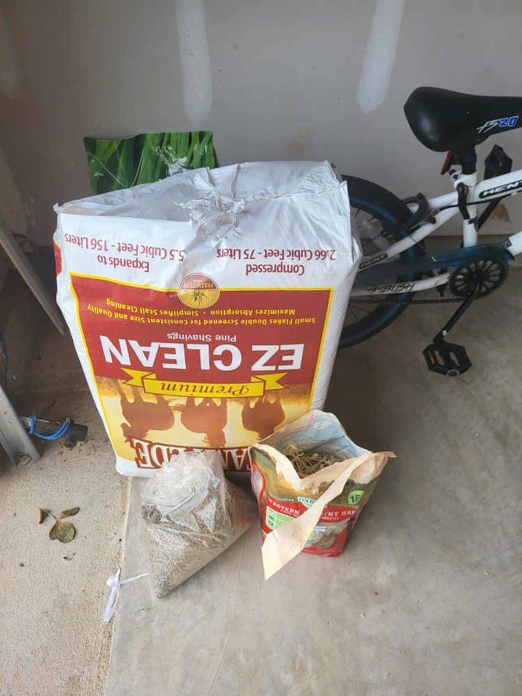 Rabbit Bunny Supplies Free