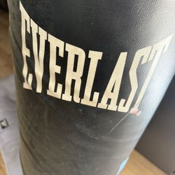Everlast Punching Bag great condition