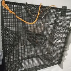 Promar Traditional Heavy Duty Shrimp Trap