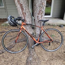 Burnt Orange Tommaso Imola (Open To Trade Of Equal Value)