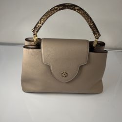Hand Bag Louis Vuitton