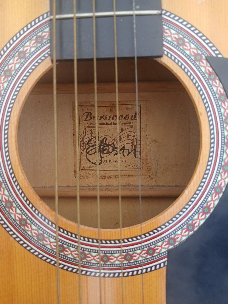 Guitar
