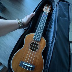 Donner Concert Ukulele $100 OBO