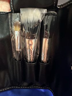 $3 Makeup Brush Set with Case
