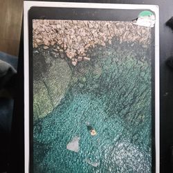 iPad Pro 