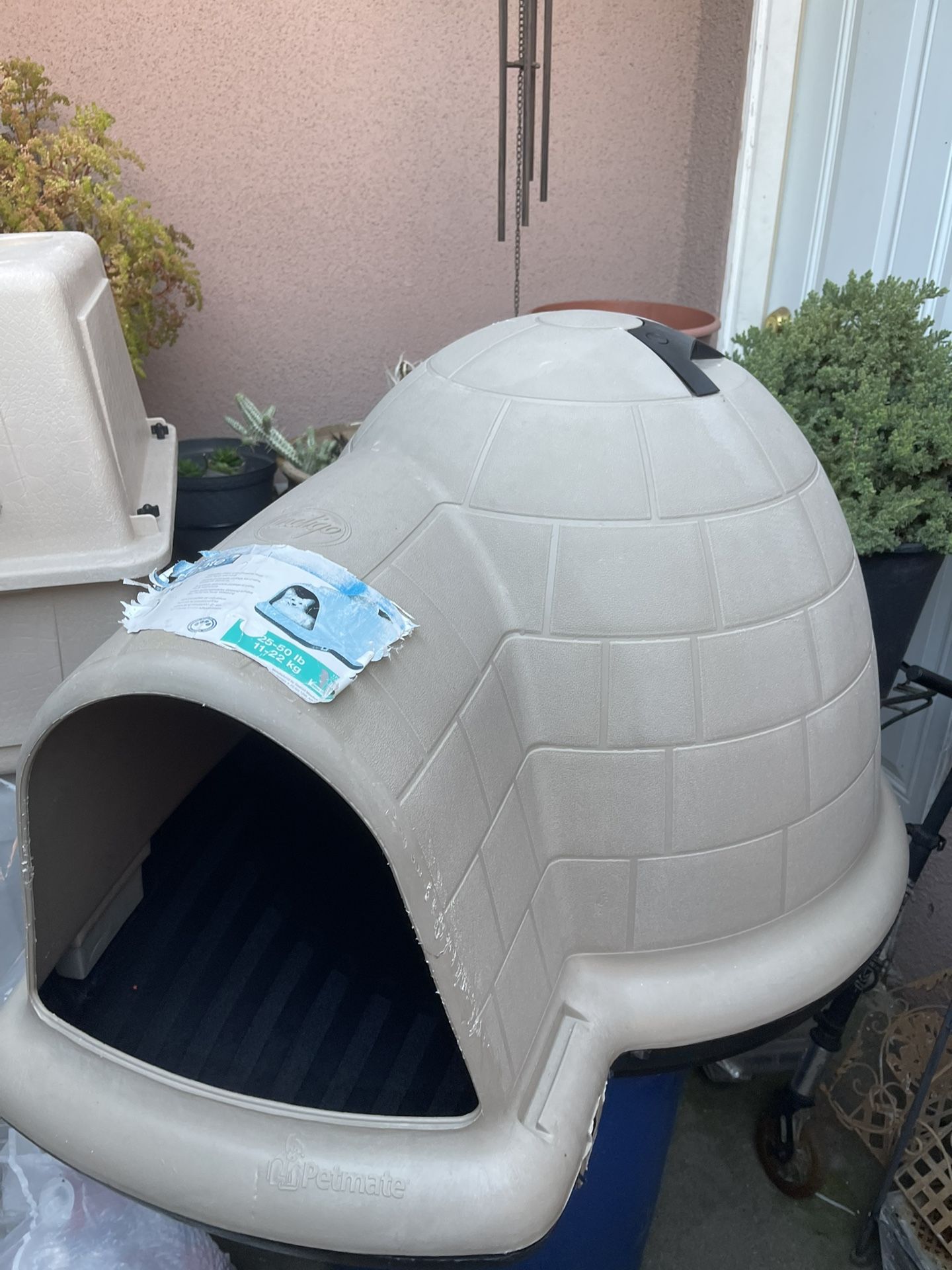 Igloo Dog House