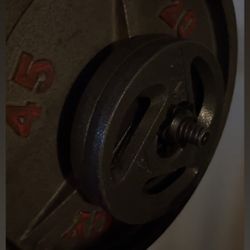 Weights 