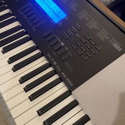 Casio Wk220