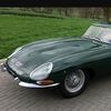AVANTI_COLLECTIBLES