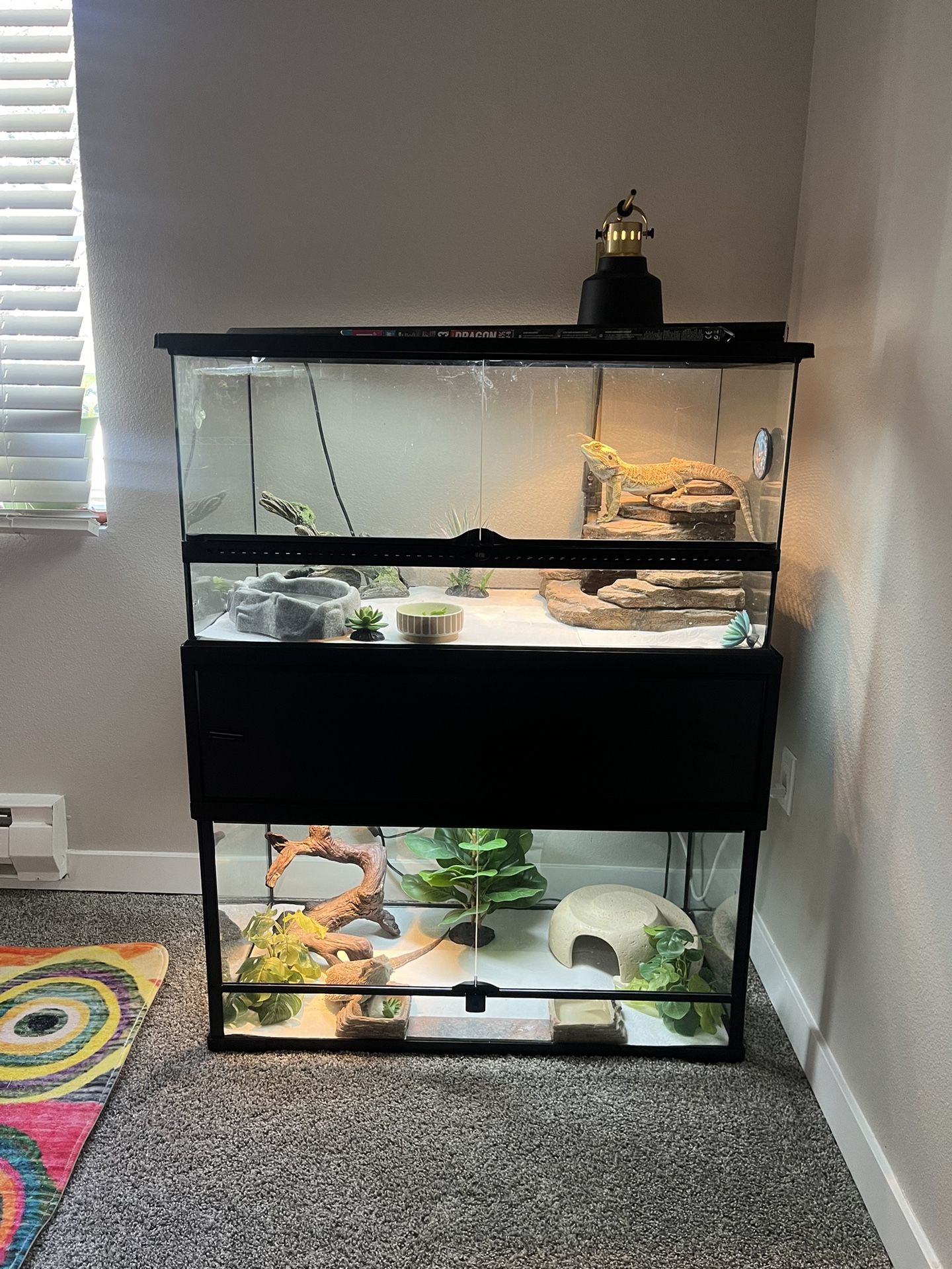 40 Gallon Terrarium Stacker for Sale in Bothell, WA - OfferUp