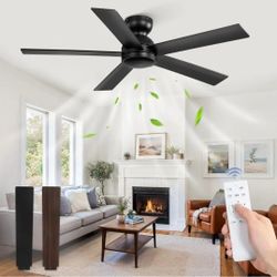 48 in. Indoor/Covered Outdoor Black 6-Speed Low Profile Ceiling Fan without Light with Remote Control Included