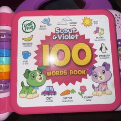 Leap Frog Learning Toy