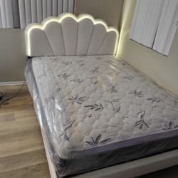 Mattress & Bedframe 