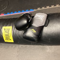 Everlast Heavy and Durable Boxing Bag