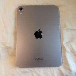 iPad Minni 7 (A7)