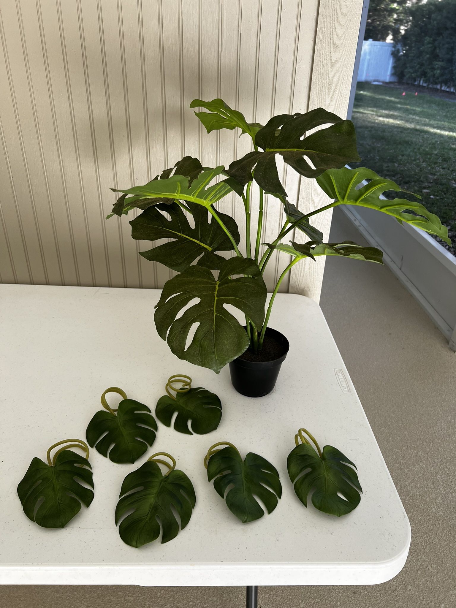 Monstera Plant with Napkin Rings