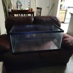 Fish Tank