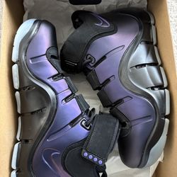 Nike Zoom LeBron 4 “Eggplant”