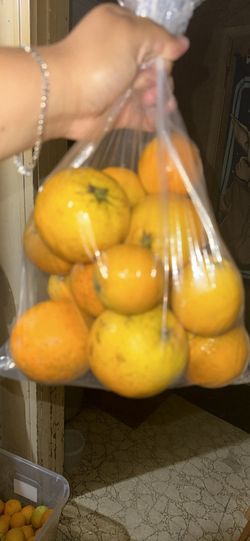 100% Organic Oranges